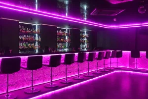 IP20 RGBW ピクセル効果 (SK6812) LED ストリップライト