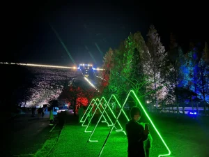 Illuminating Gardens with Neon Flex: A Radiant Fusion of Nature and Design