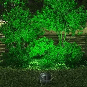 LED Flood lights